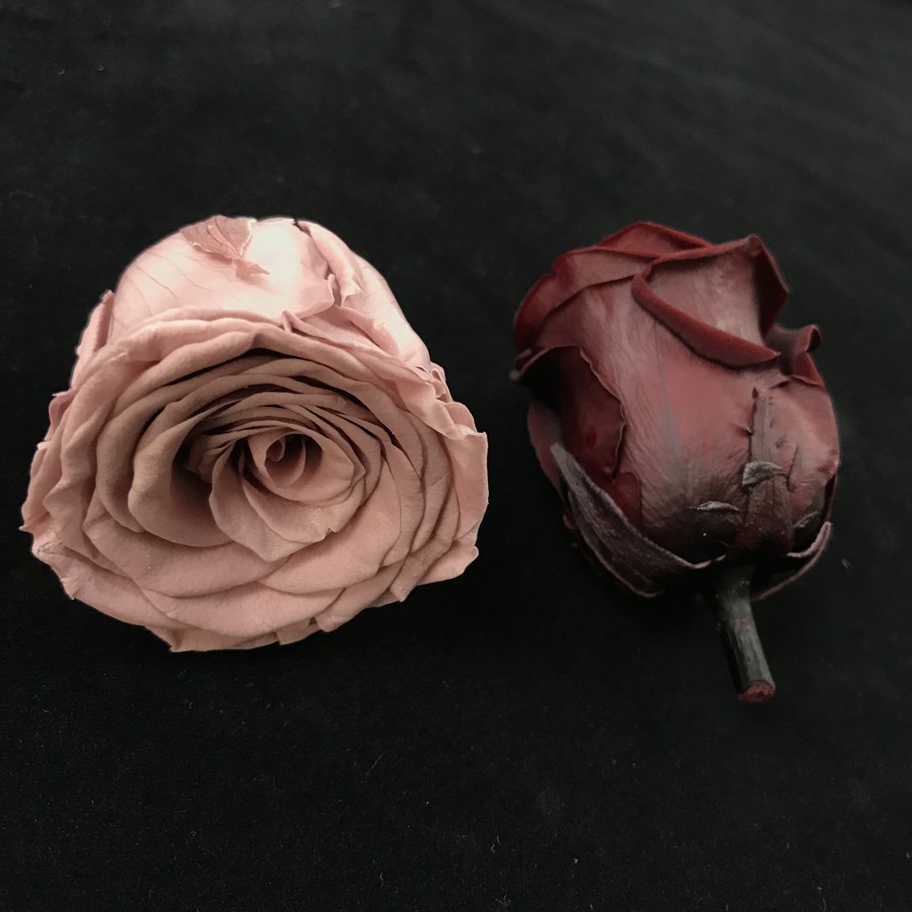 High quality factory supply rose head wholesale 5-6cm everlasting flower preserved roses head for decoration