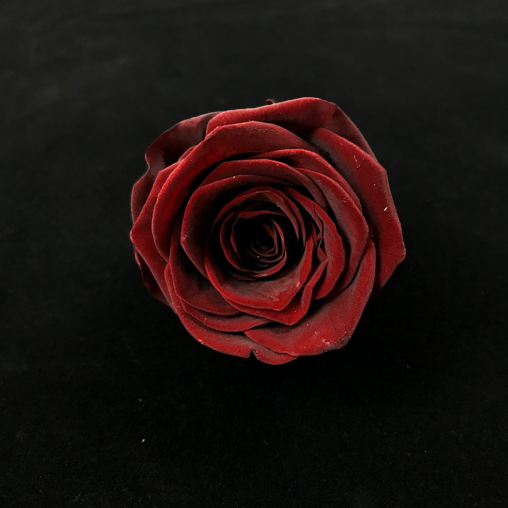 High quality factory supply rose head wholesale 5-6cm everlasting flower preserved roses head for decoration