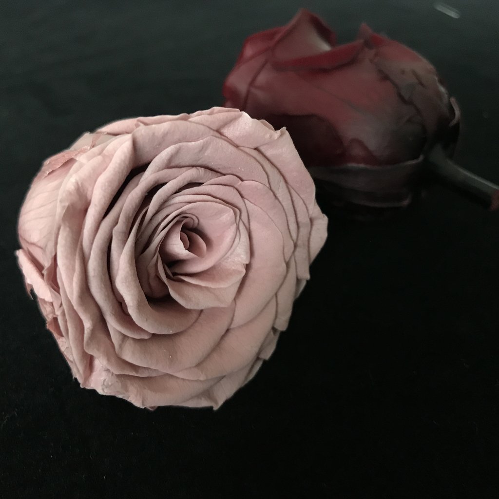 High quality factory supply rose head wholesale 5-6cm everlasting flower preserved roses head for decoration