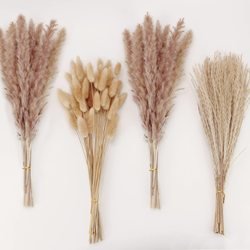 100PCS-brown