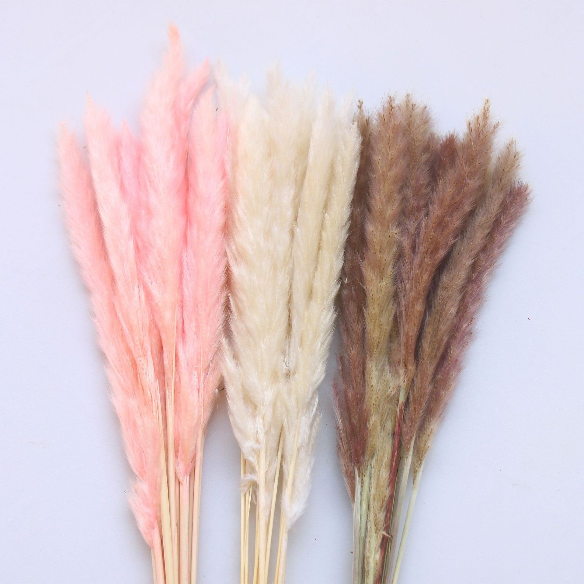Factory supply natural beige dried flowers decor large fluffy tall dried flowers bouquet for wedding arrangement