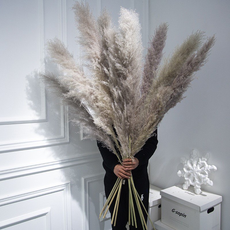 Factory supply natural beige dried flowers decor large fluffy tall dried flowers bouquet for wedding arrangement