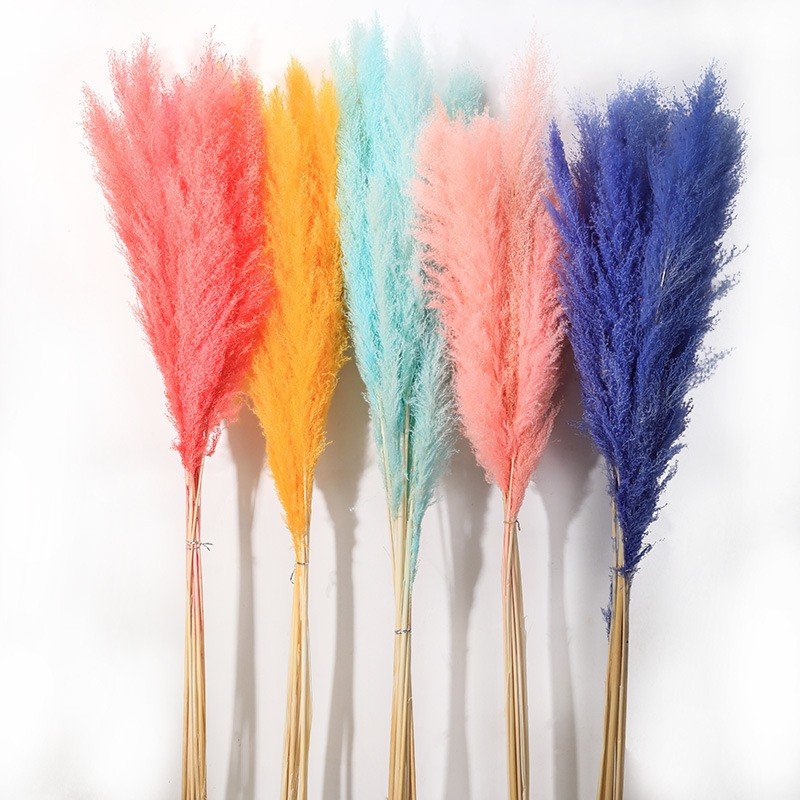 Factory supply natural beige dried flowers decor large fluffy tall dried flowers bouquet for wedding arrangement