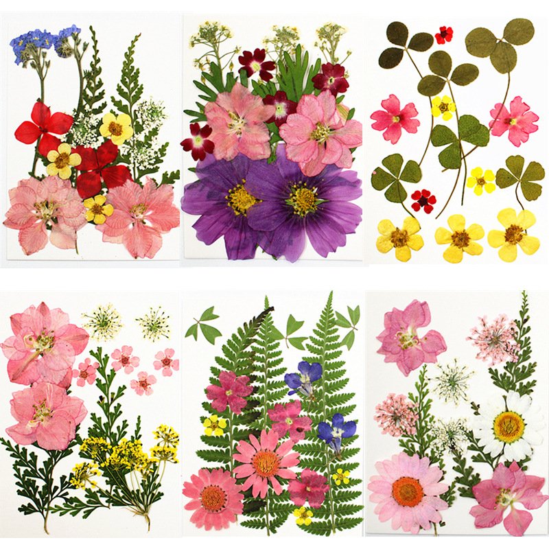 DIY Handmade Material Bag Pressed Mixed Flowers Pack for Scrapbooking DIY Art Crafts Epoxy Resin