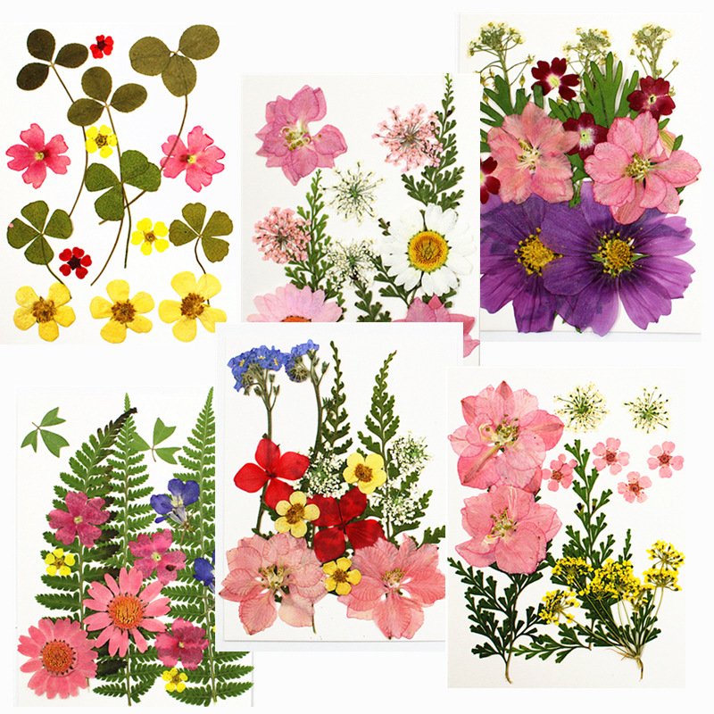 DIY Handmade Material Bag Pressed Mixed Flowers Pack for Scrapbooking DIY Art Crafts Epoxy Resin