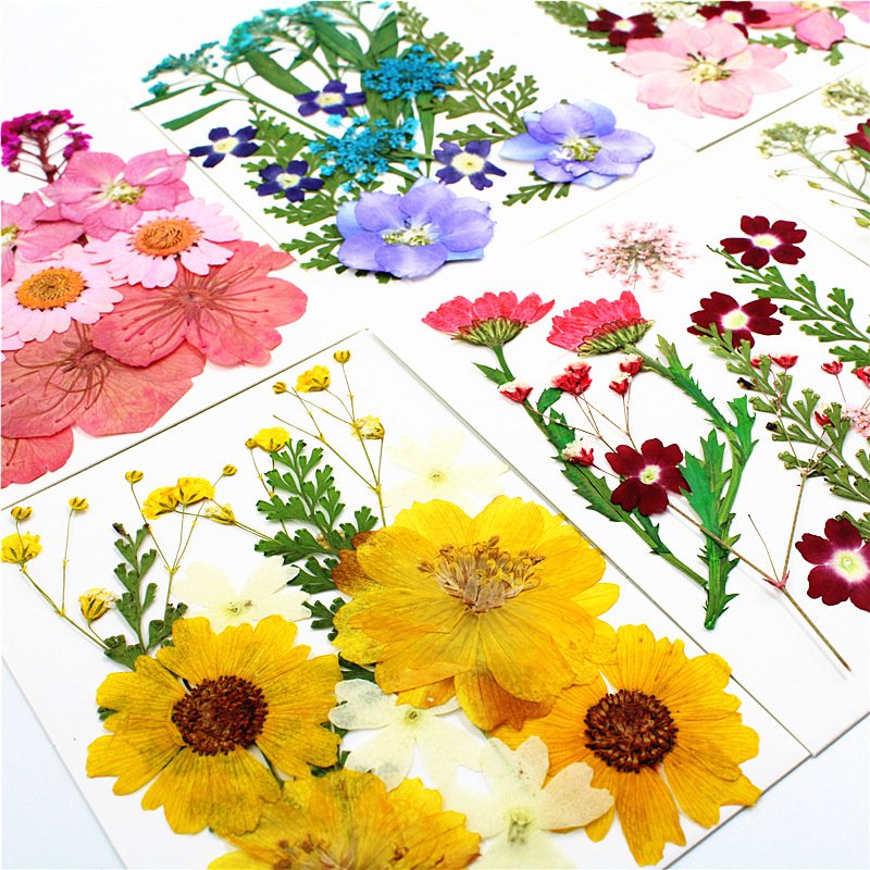 DIY Handmade Material Bag Pressed Mixed Flowers Pack for Scrapbooking DIY Art Crafts Epoxy Resin