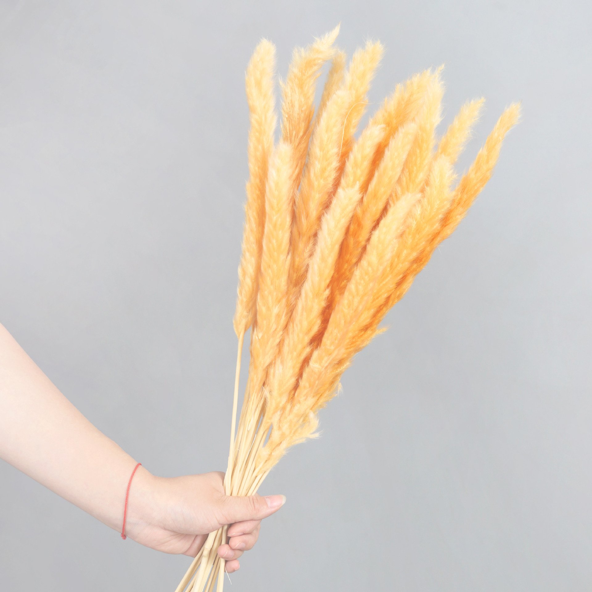 Dried flower customizable Package 45cm Dried Pampas Grass potpourri dried flowers