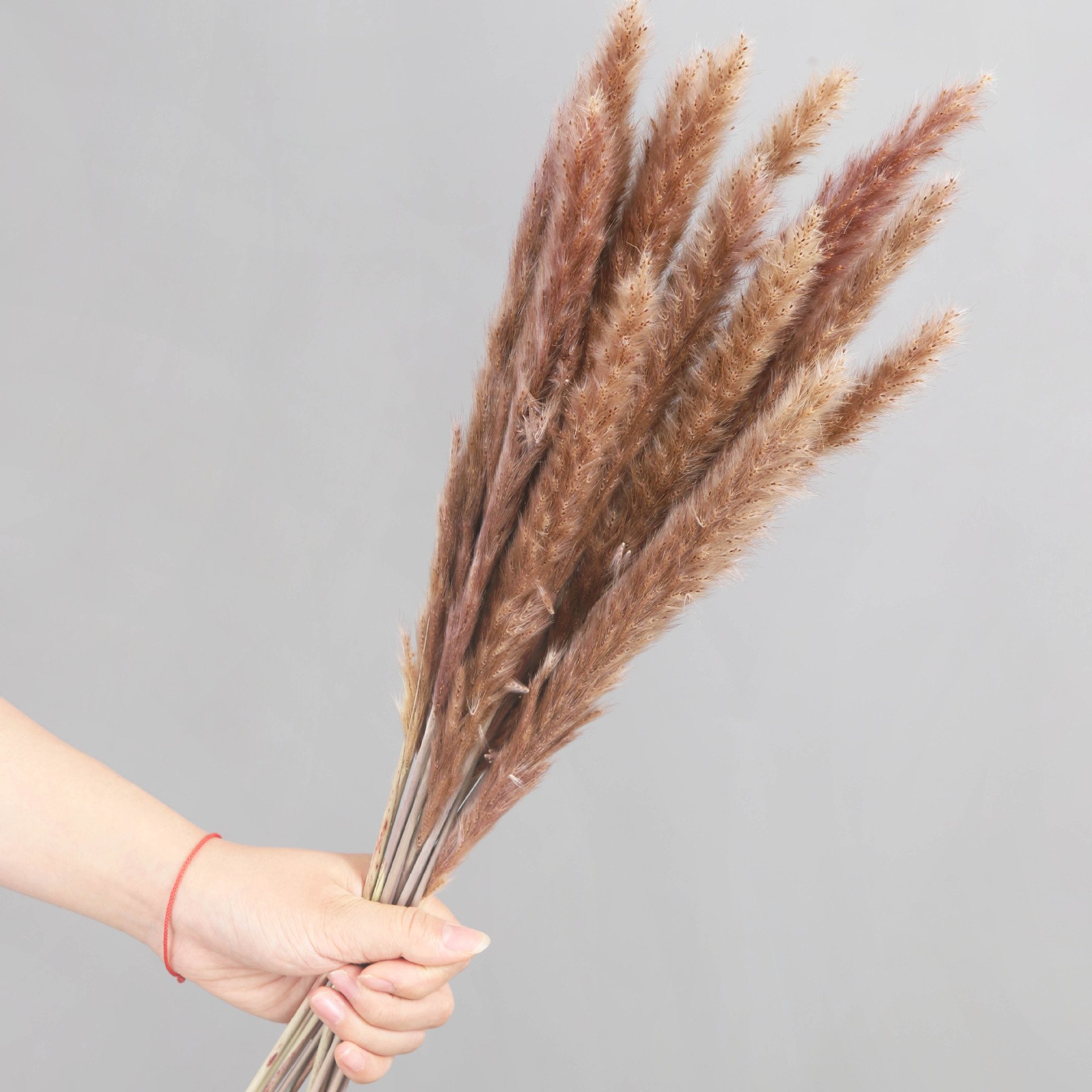 Dried flower customizable Package 45cm Dried Pampas Grass potpourri dried flowers