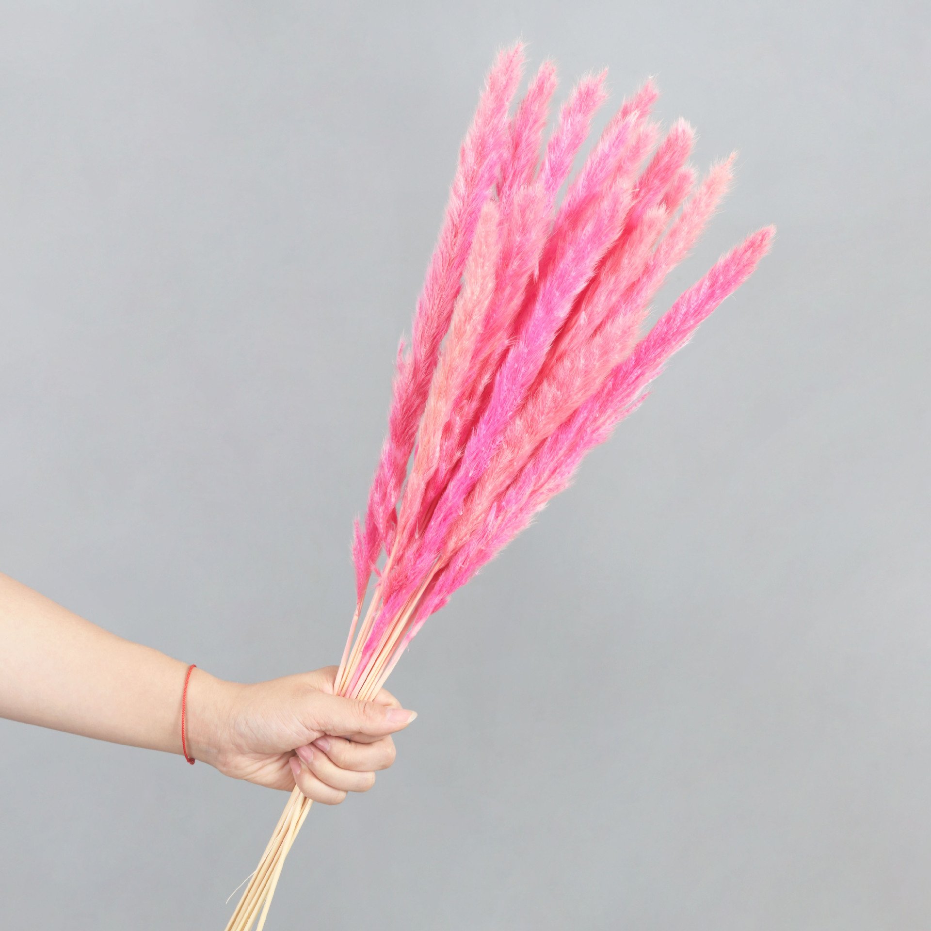 Dried flower customizable Package 45cm Dried Pampas Grass potpourri dried flowers