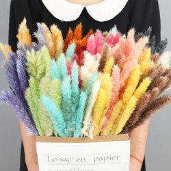Multicolor