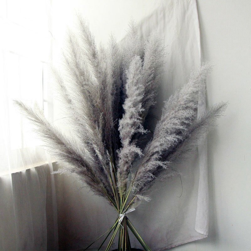 A-7 Long pampas natural dried Preserved Pampas grass fluffy pampasgras extra large dried reed phragmites pampas grass