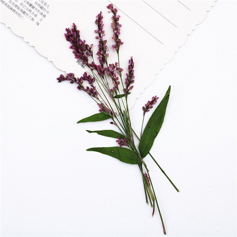 Rose lily Safflower Decoration Flower Press Lamp Bookmark Candle Sticker Art Print True Flower DIY Material Pack
