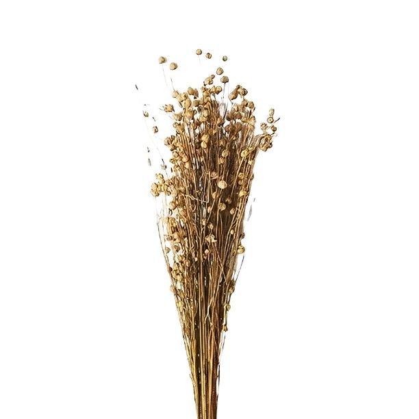 Indoor Decorative Tishi Grass For Wedding Decoration Dried Flowers