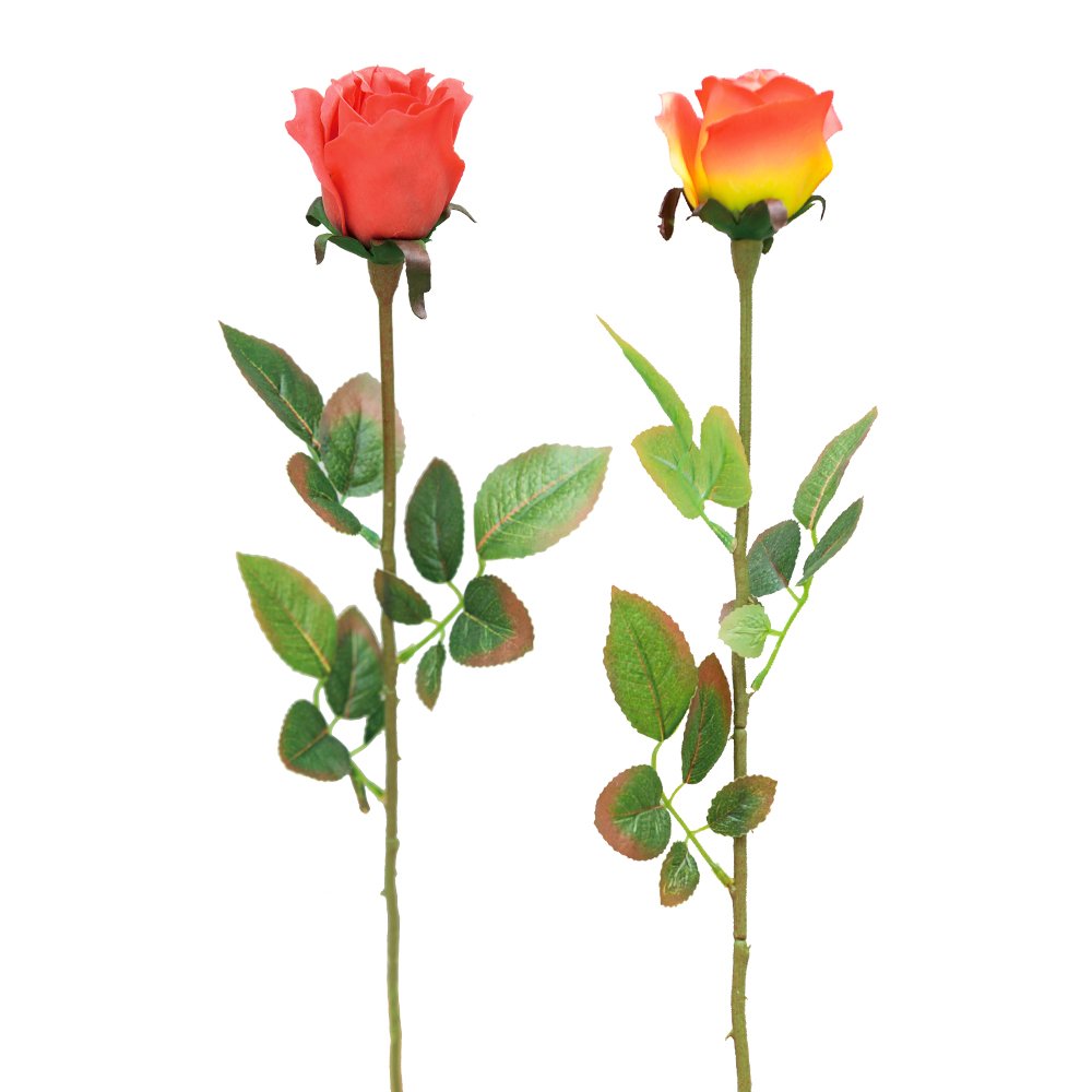 Wedding Decoration Bridal Dried Flowers Bouquet Arrangement Boutonniere Mini Natural Wholesale Rose Hot Selling Home
