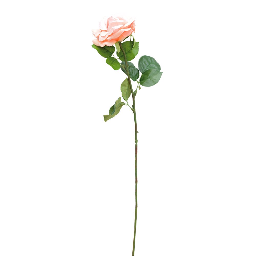 Wedding Decoration Bridal Dried Flowers Bouquet Arrangement Boutonniere Mini Natural Wholesale Rose Hot Selling Home