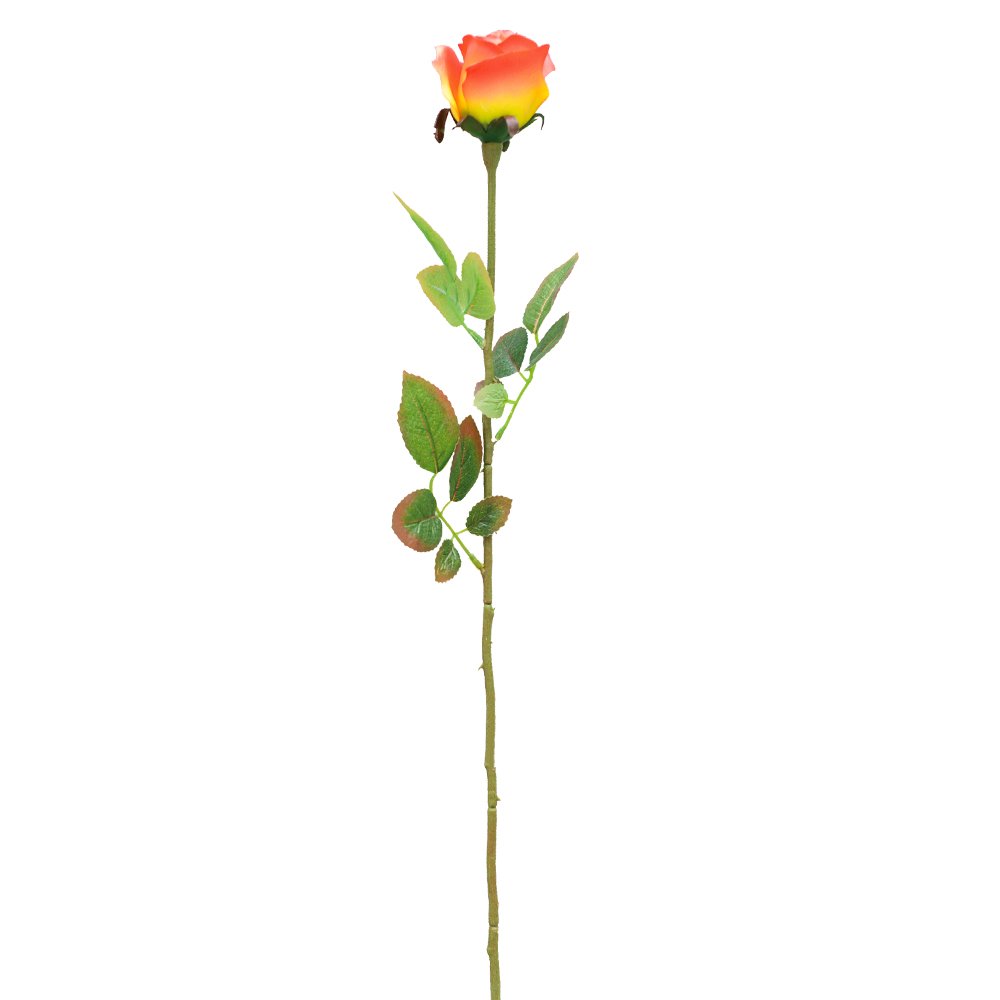 Wedding Decoration Bridal Dried Flowers Bouquet Arrangement Boutonniere Mini Natural Wholesale Rose Hot Selling Home
