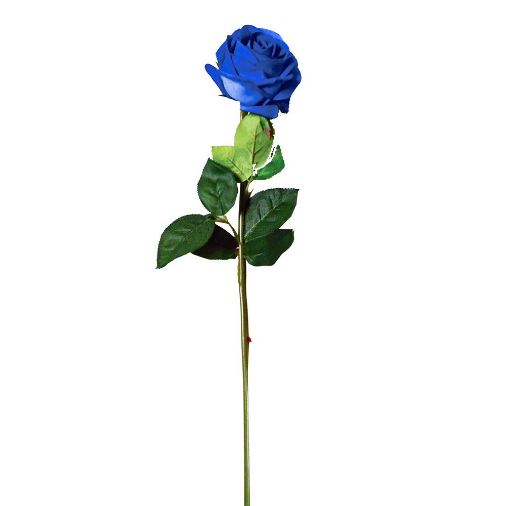 Wedding Decoration Bridal Dried Flowers Bouquet Arrangement Boutonniere Mini Natural Wholesale Rose Hot Selling Home
