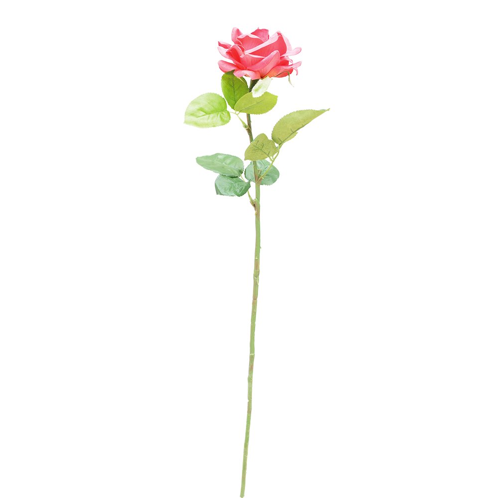 Wedding Decoration Bridal Dried Flowers Bouquet Arrangement Boutonniere Mini Natural Wholesale Rose Hot Selling Home
