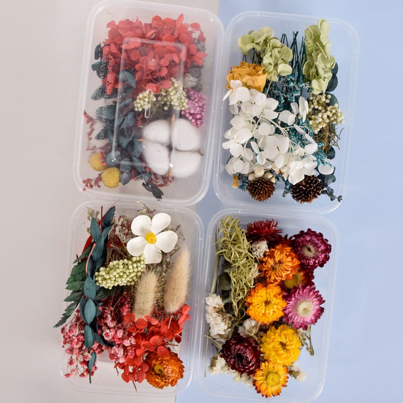 Preserved Eterna Epoxy Resin Pendant Necklace Craft Diy Floral 1 Box Natural Dried Flower Dry Plant For Aromatherapy Candle