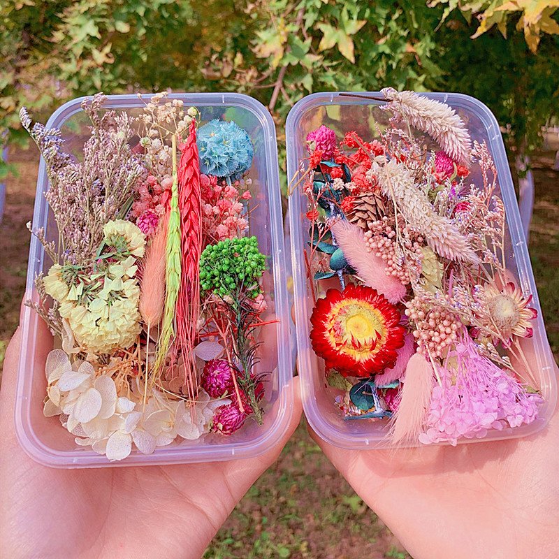 Preserved Eterna Epoxy Resin Pendant Necklace Craft Diy Floral 1 Box Natural Dried Flower Dry Plant For Aromatherapy Candle