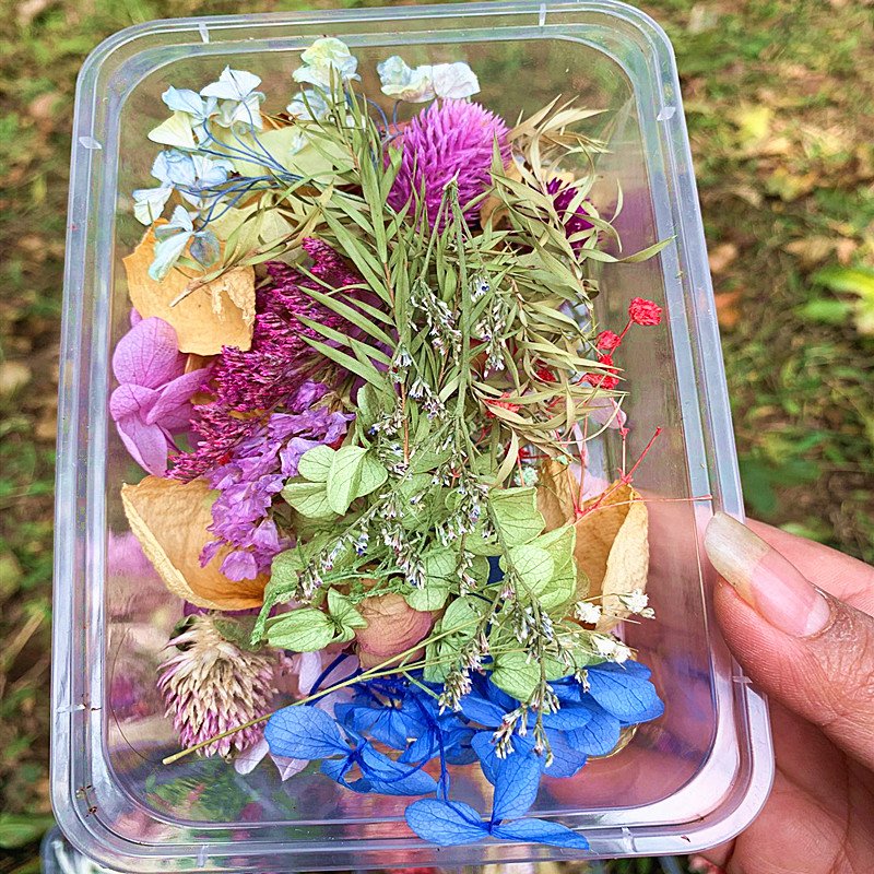 Preserved Eterna Epoxy Resin Pendant Necklace Craft Diy Floral 1 Box Natural Dried Flower Dry Plant For Aromatherapy Candle