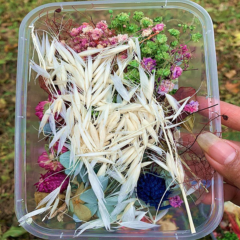 Preserved Eterna Epoxy Resin Pendant Necklace Craft Diy Floral 1 Box Natural Dried Flower Dry Plant For Aromatherapy Candle