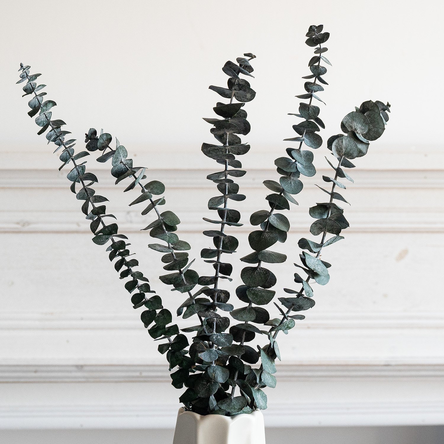 Factory wholesale green Preserved Flowers Plants Dried Eucalyptus Bundle Fresh Eucalyptus Branches