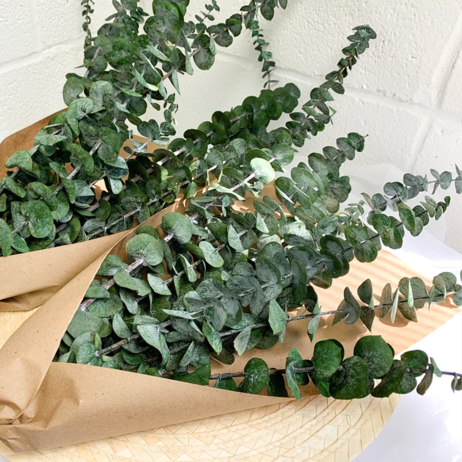 Factory wholesale green Preserved Flowers Plants Dried Eucalyptus Bundle Fresh Eucalyptus Branches