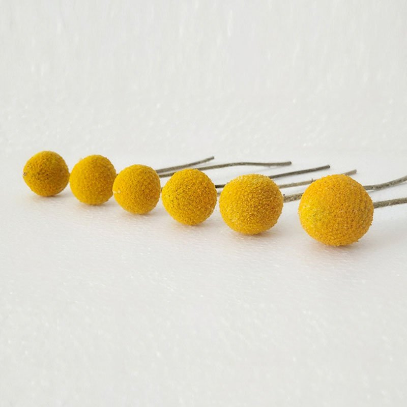 Factory Wholesale Preserve Dried Flowers And Plants Home Decor Craspedia Dried Billy Balls