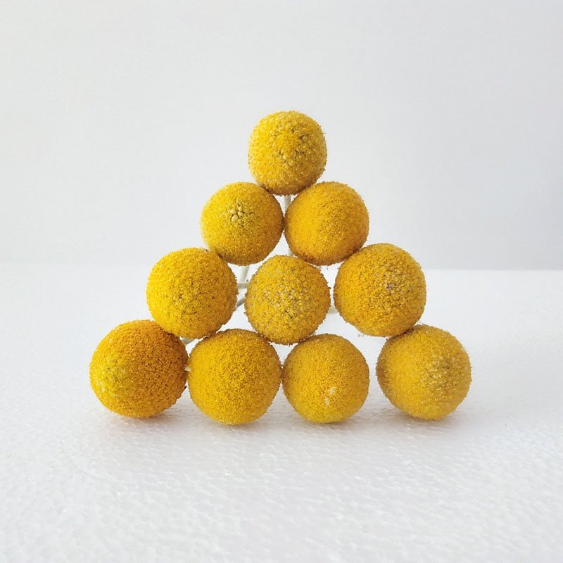 Factory Wholesale Preserve Dried Flowers And Plants Home Decor Craspedia Dried Billy Balls