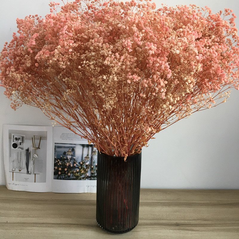 Dried Flowers Baby's Breath Bouquet Dried Babys Breath Bulk Natural Dry Flowers for DIY Vase, Floral Wedding, Home Party Decor