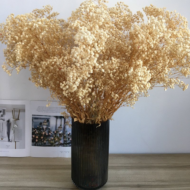 Dried Flowers Baby's Breath Bouquet Dried Babys Breath Bulk Natural Dry Flowers for DIY Vase, Floral Wedding, Home Party Decor