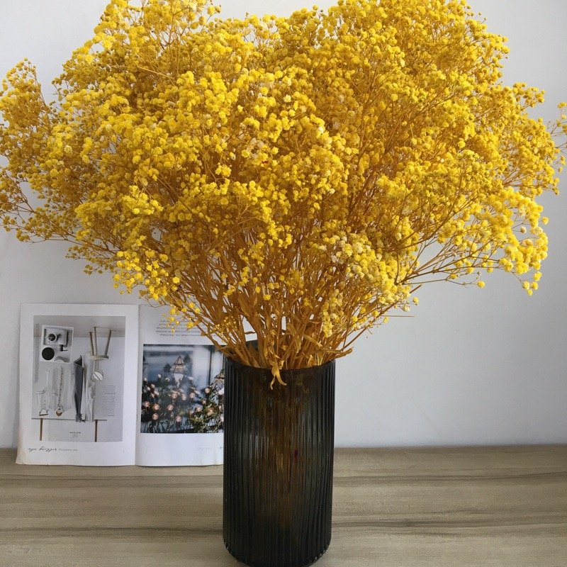 Dried Flowers Baby's Breath Bouquet Dried Babys Breath Bulk Natural Dry Flowers for DIY Vase, Floral Wedding, Home Party Decor