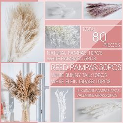 80PCS-HS24