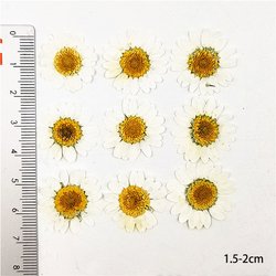1.5-2cm