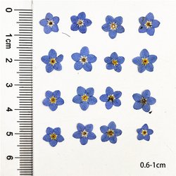 0.6-1cm