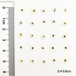 0.4-0.8cm