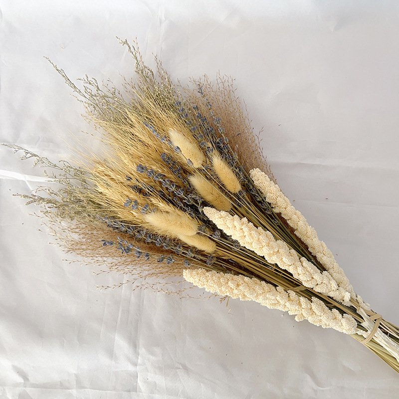 Natural Dried Flowers Bouquet Dried Cotton Stem Artificial Flowers for Filler Floral Arrangement DIY Home Party Decor