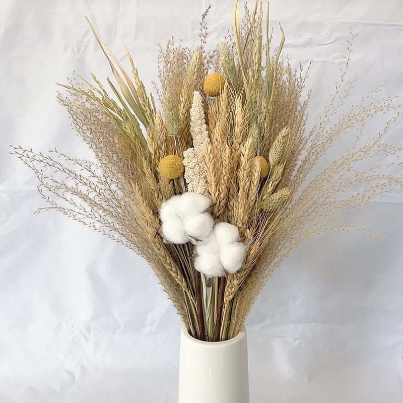Natural Dried Flowers Bouquet Dried Cotton Stem Artificial Flowers for Filler Floral Arrangement DIY Home Party Decor