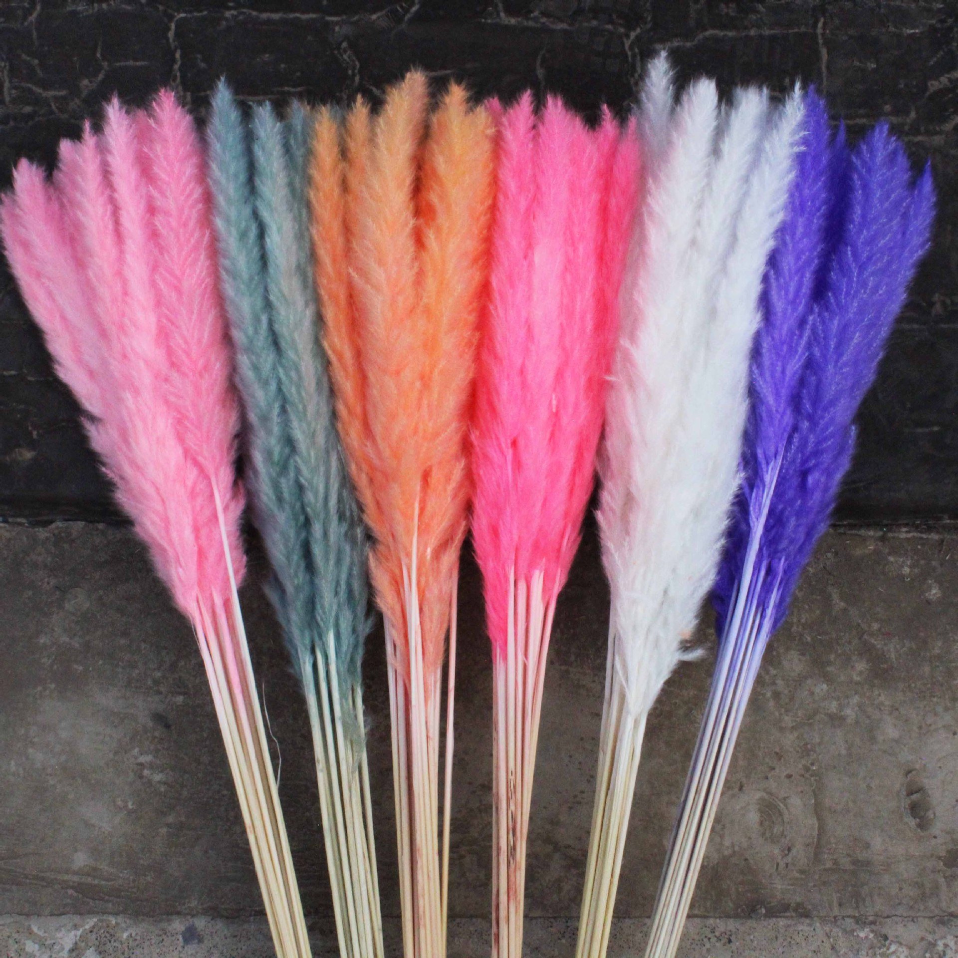 Manufacturer Natural Dried Pampas Grass Decor for Home Kitchen Garden Wedding arrangement Flower Arrangement Vase Decor