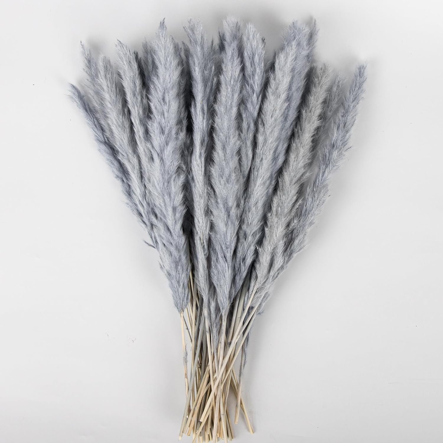 Manufacturer Natural Dried Pampas Grass Decor for Home Kitchen Garden Wedding arrangement Flower Arrangement Vase Decor