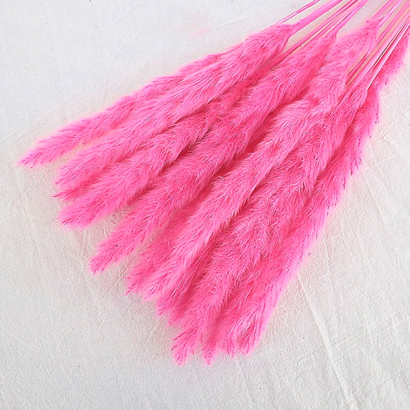 Manufacturer Natural Dried Pampas Grass Decor for Home Kitchen Garden Wedding arrangement Flower Arrangement Vase Decor