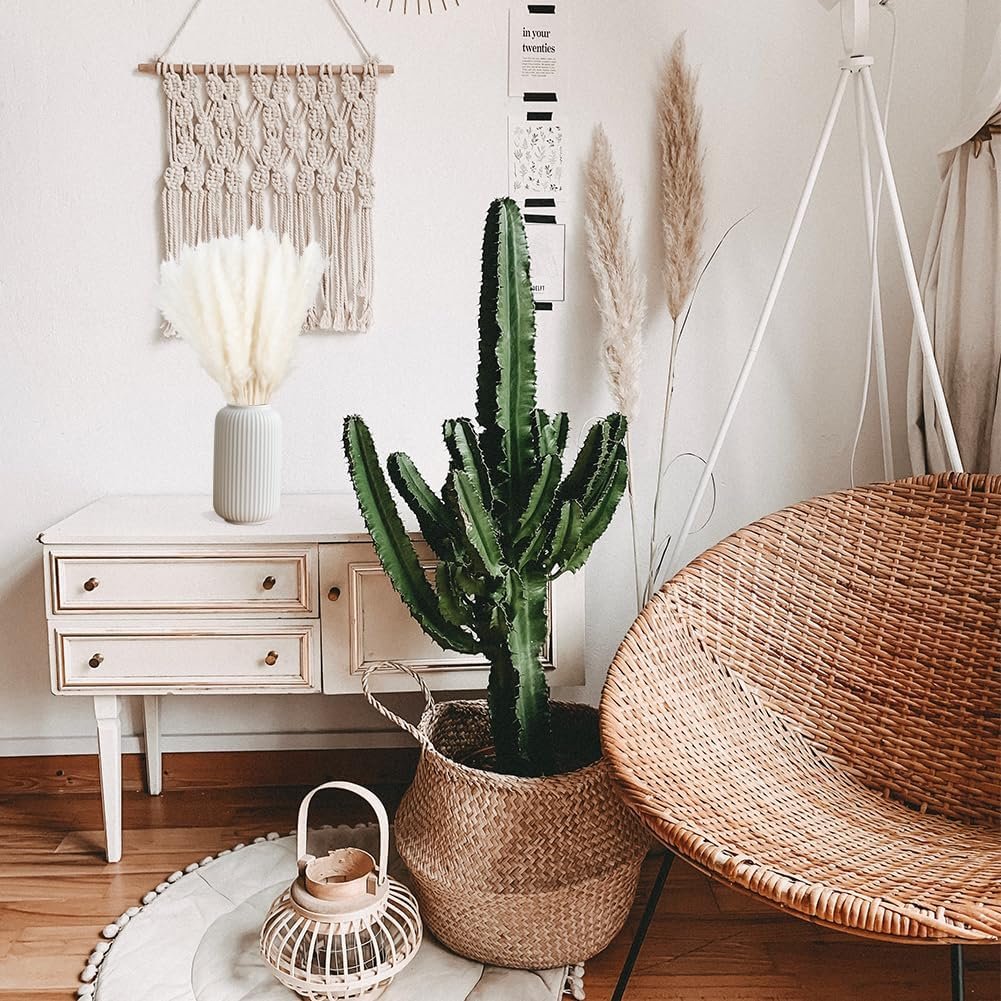 Manufacturer Natural Dried Pampas Grass Decor for Home Kitchen Garden Wedding arrangement Flower Arrangement Vase Decor