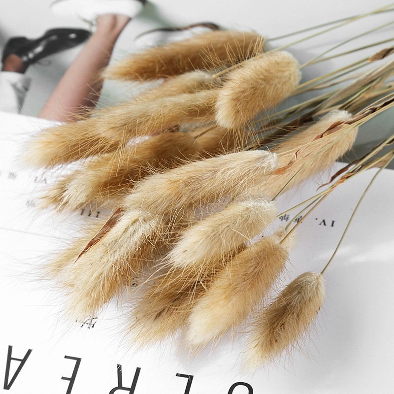 High quality boho fluffy pampas grass bouquets custom dried flowers home decor