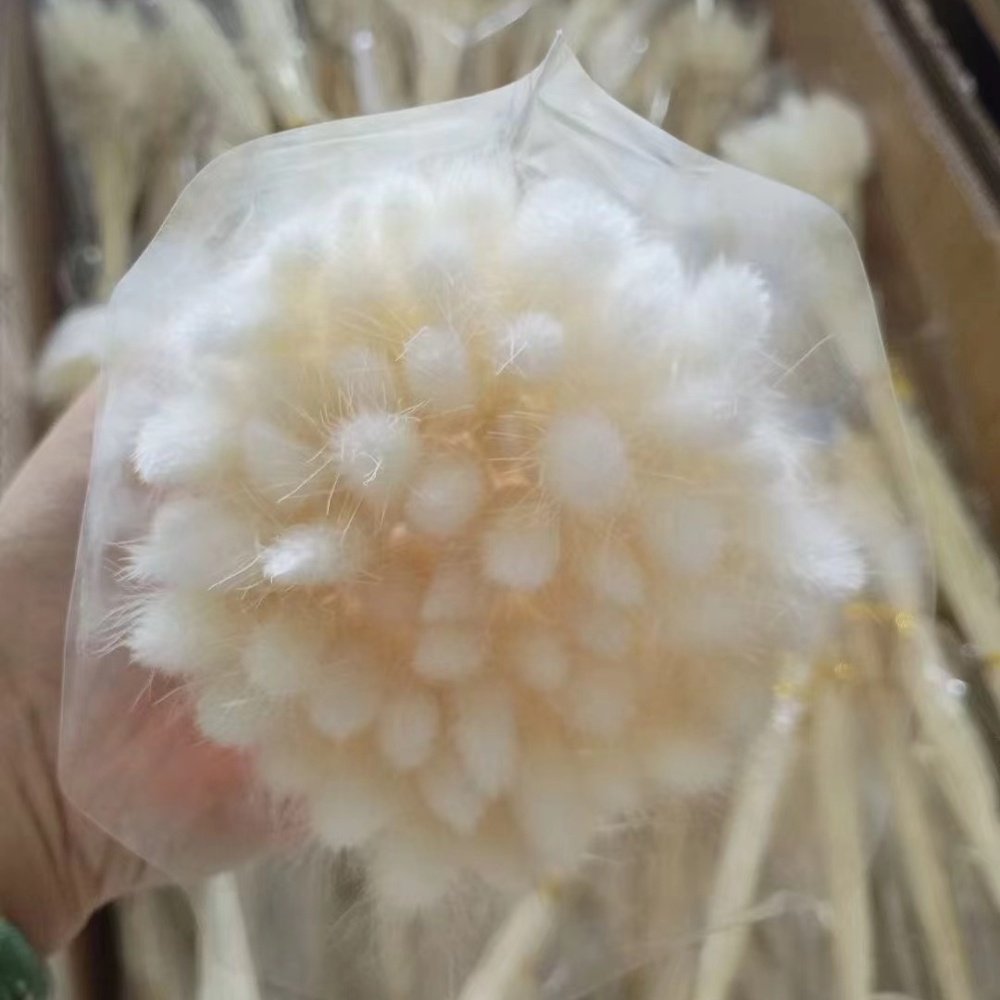 High quality boho fluffy pampas grass bouquets custom dried flowers home decor