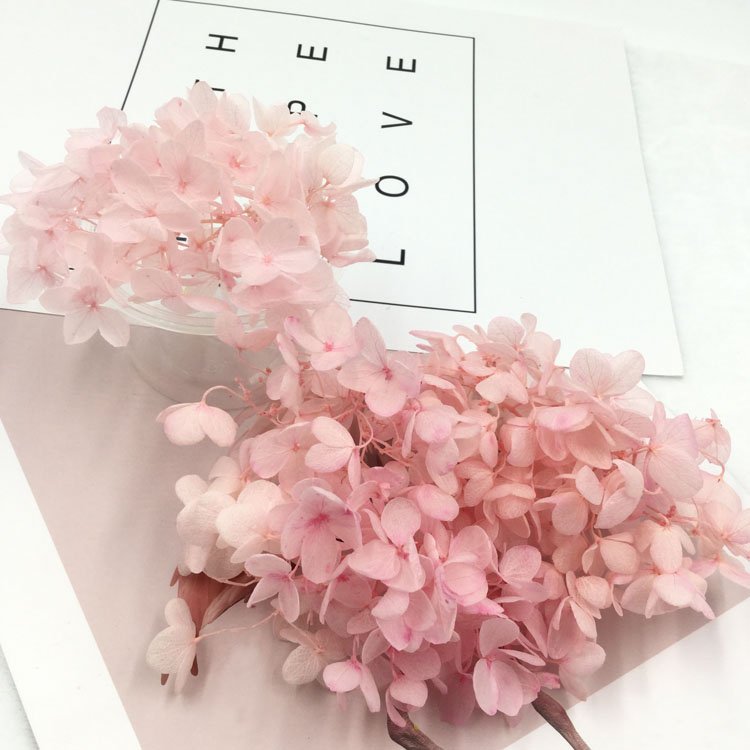 SumFlora INS forest department Nordic real flower dried hydrangea home decoration flower arrangement