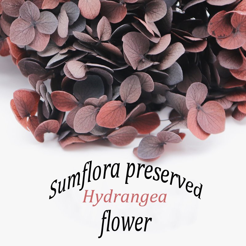 SumFlora INS forest department Nordic real flower dried hydrangea home decoration flower arrangement