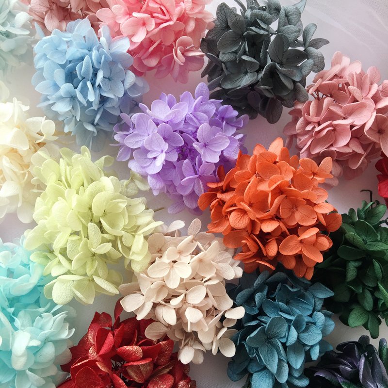 SumFlora INS forest department Nordic real flower dried hydrangea home decoration flower arrangement