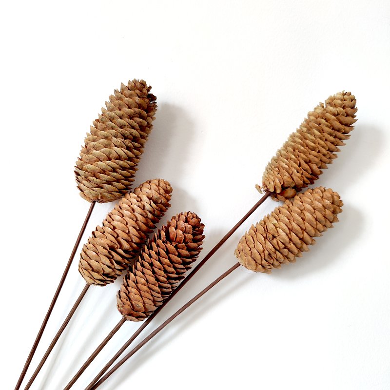 Large Pine Cones Christmas Pine Cones Decorative Christmas Tree Decorations Ornaments Real Natural Dried Pinecones