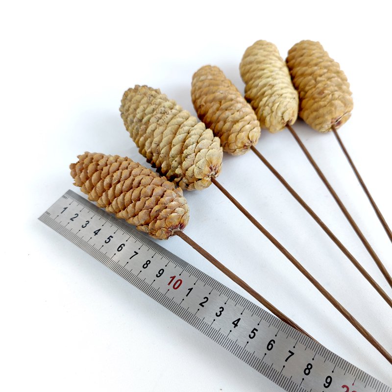 Large Pine Cones Christmas Pine Cones Decorative Christmas Tree Decorations Ornaments Real Natural Dried Pinecones